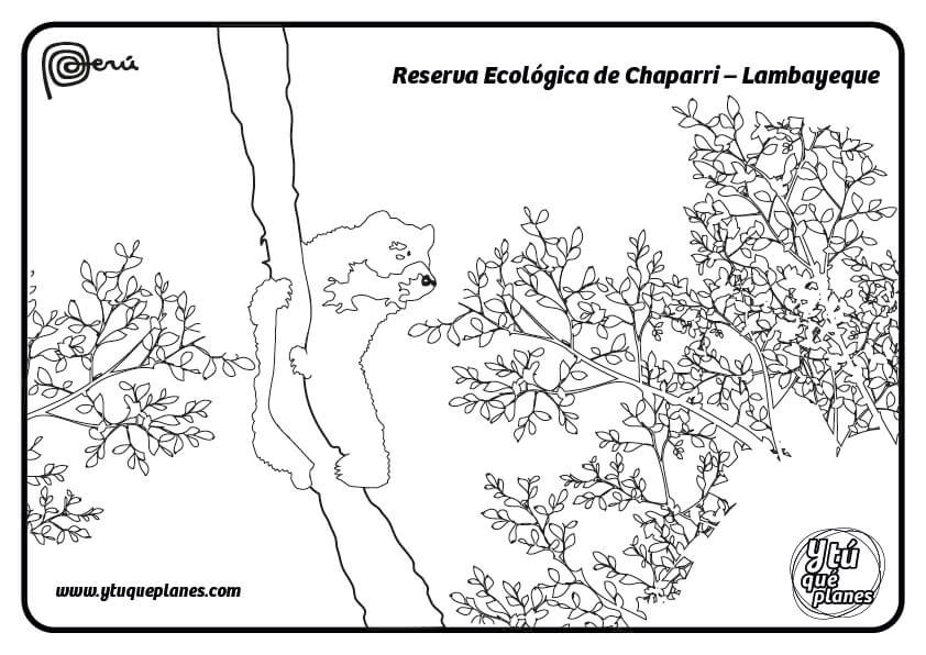 Reserva Ecológica de Chaparri