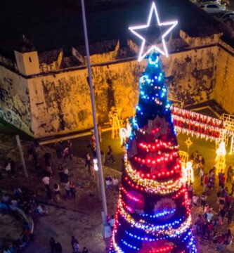 La magia del encendido del Árbol de Navidad: Tradiciones y significado